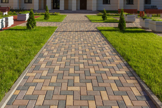 Best Driveway Pavers Near Me  in Montezuma, GA